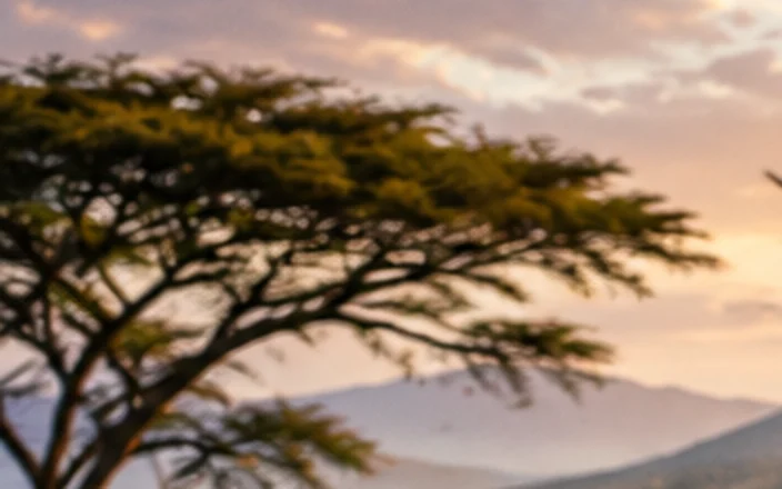 Get ready: training, nutrition and race-strategy tips